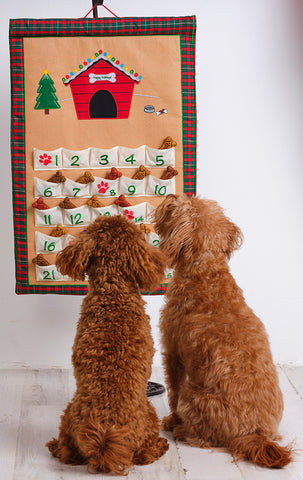 Pockets Of learning Dog Advent Calendar